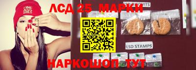 spice Шелехов