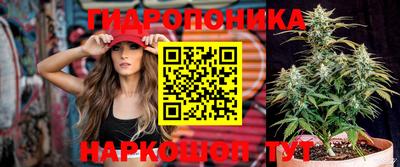стаф Шахты