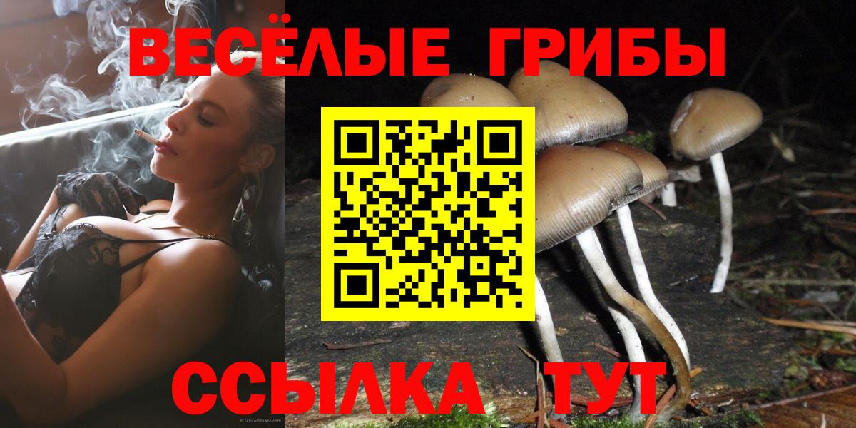 Псилоцибиновые грибы GOLDEN TEACHER Бахчисарай