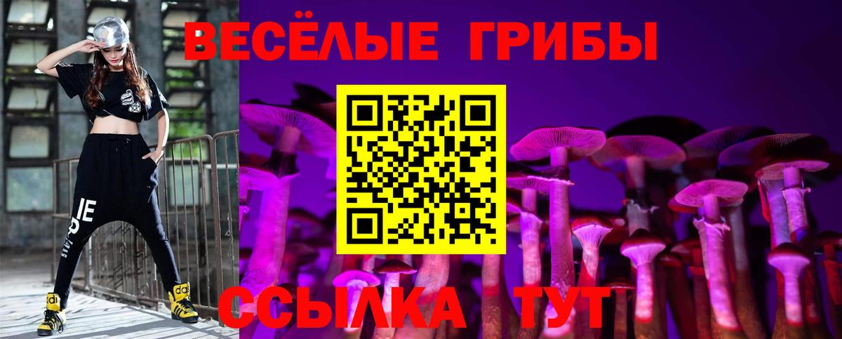 Бахчисарай  Псилоцибиновые грибы Psilocybe  Вход с VPN 